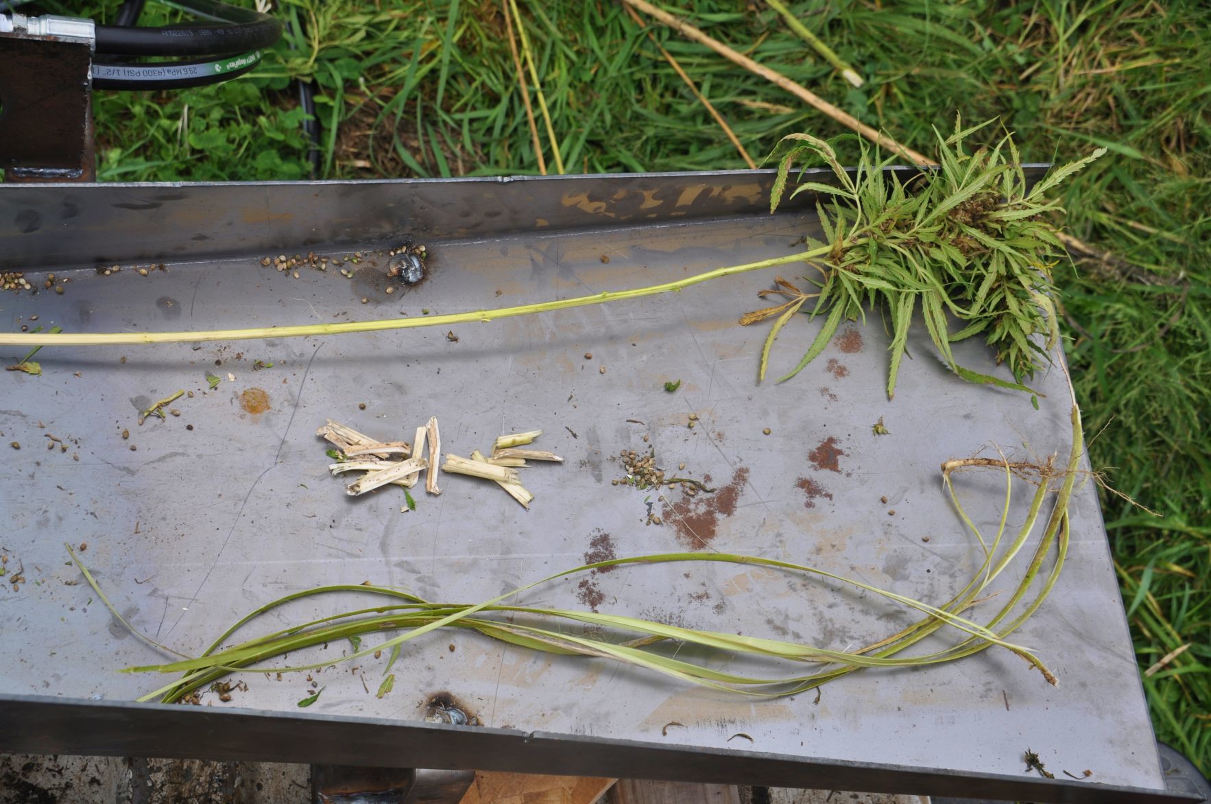 Hemp-plant parts